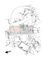 Radiator & Hose